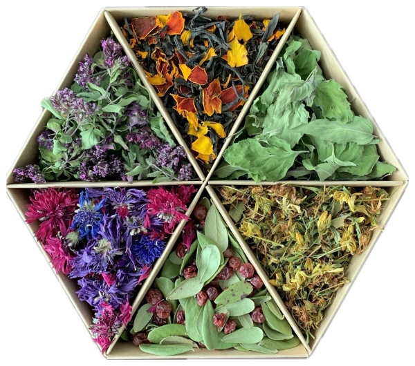 Фото Набор травяного чая "Сибирский иммунитет" SIBIRTEA, 50гр от магазина FedyaDich.ru